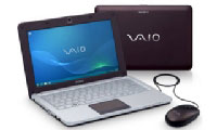 Sony VPCW12J1E/T